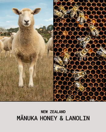Mānuka Honey & Lanolin Lip Balm - Lip Balm - PoiPoi