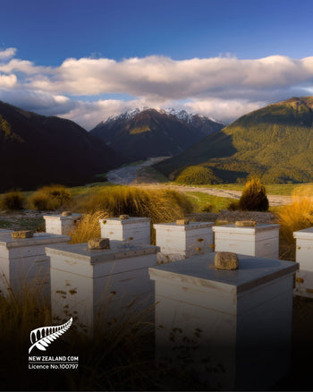 Mānuka Honey & Propolis | Natural Toothpaste - Toothpaste - PoiPoi